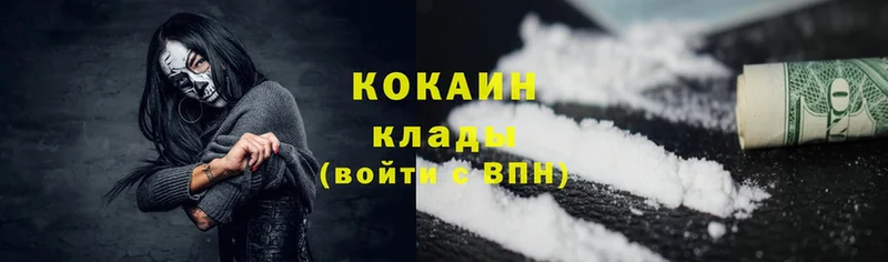 Cocaine FishScale  кракен вход  Каргополь 